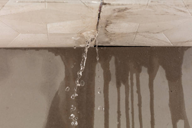 Professional Burst Pipe Cleanup technician working in Maple Rapids, MI